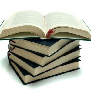 Семинар-практикум "Введение в диагностико-коррекционную деятельность психолога в системе образования"