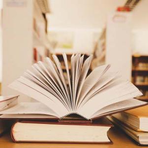 Научная стажировка по теме диссертационного исследования "Педагогические условия организационно-методического сопровождения кураторов студенческих групп в техническом университете"