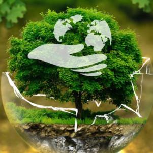 XIX Международная научно-практическая конференция "Актуальные проблемы экологии - 2024"