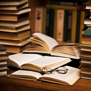 XXII Международная научная конференция по дифференциальным уравнениям "Еругинские чтения-2026"