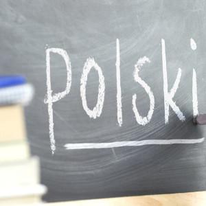 Курсы иностранного языка "Польский язык для будущих специалистов таможенного дела"