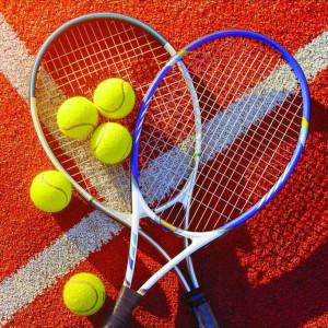 Теннис на кортах (индивидуальное занятие)